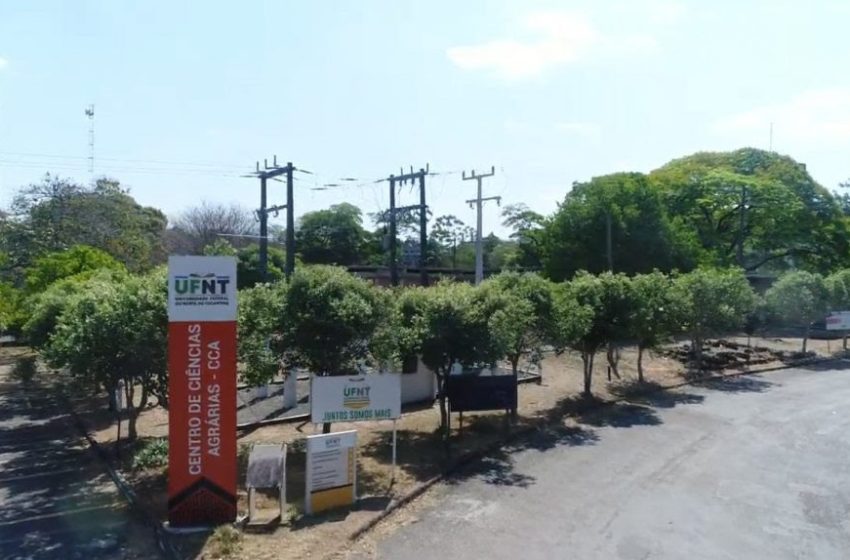  UFNT abre concurso para professor na área de Zootecnia com remuneração de até R$ 22 mil