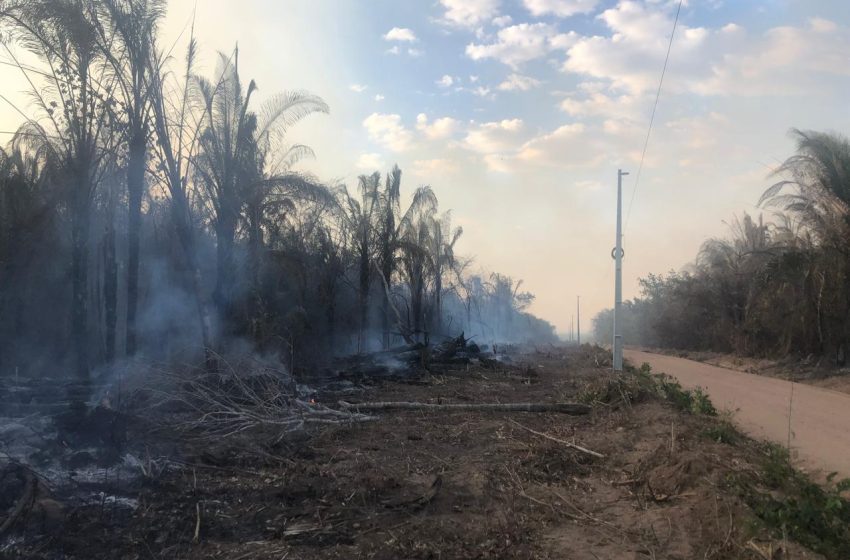  Queimadas podem começar com pequenas atitudes e colocar em risco o fornecimento de energia 